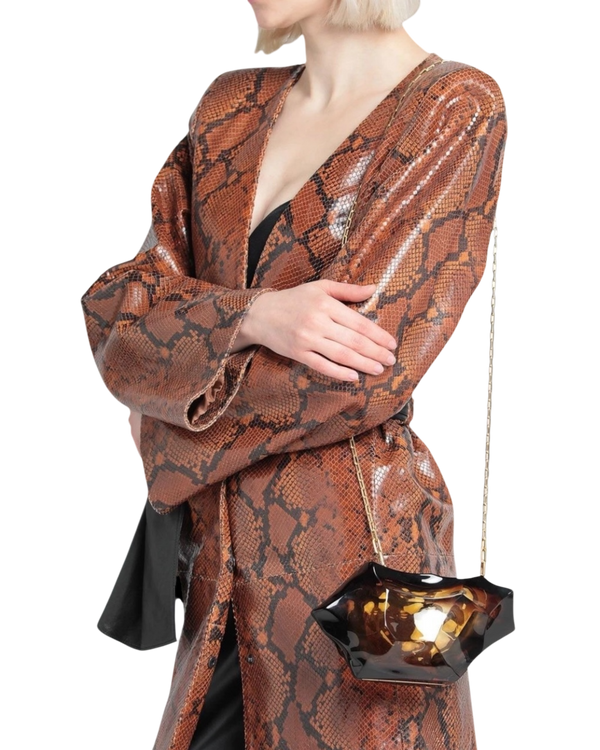 Bottega Veneta Faceted Plexiglass Clutch — Brown