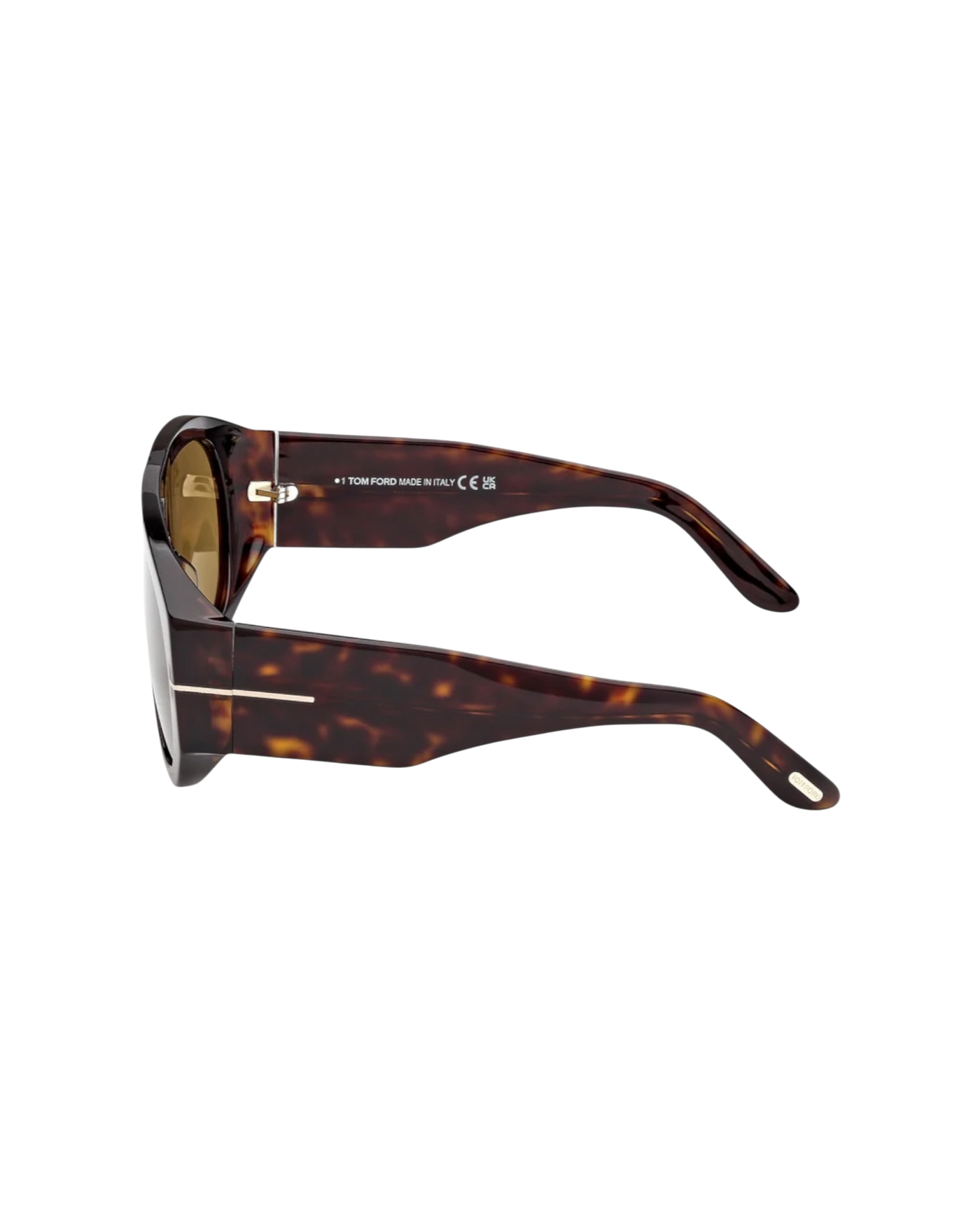 Tom Ford 'Bronson' Sunglasses — Brown, FT1044