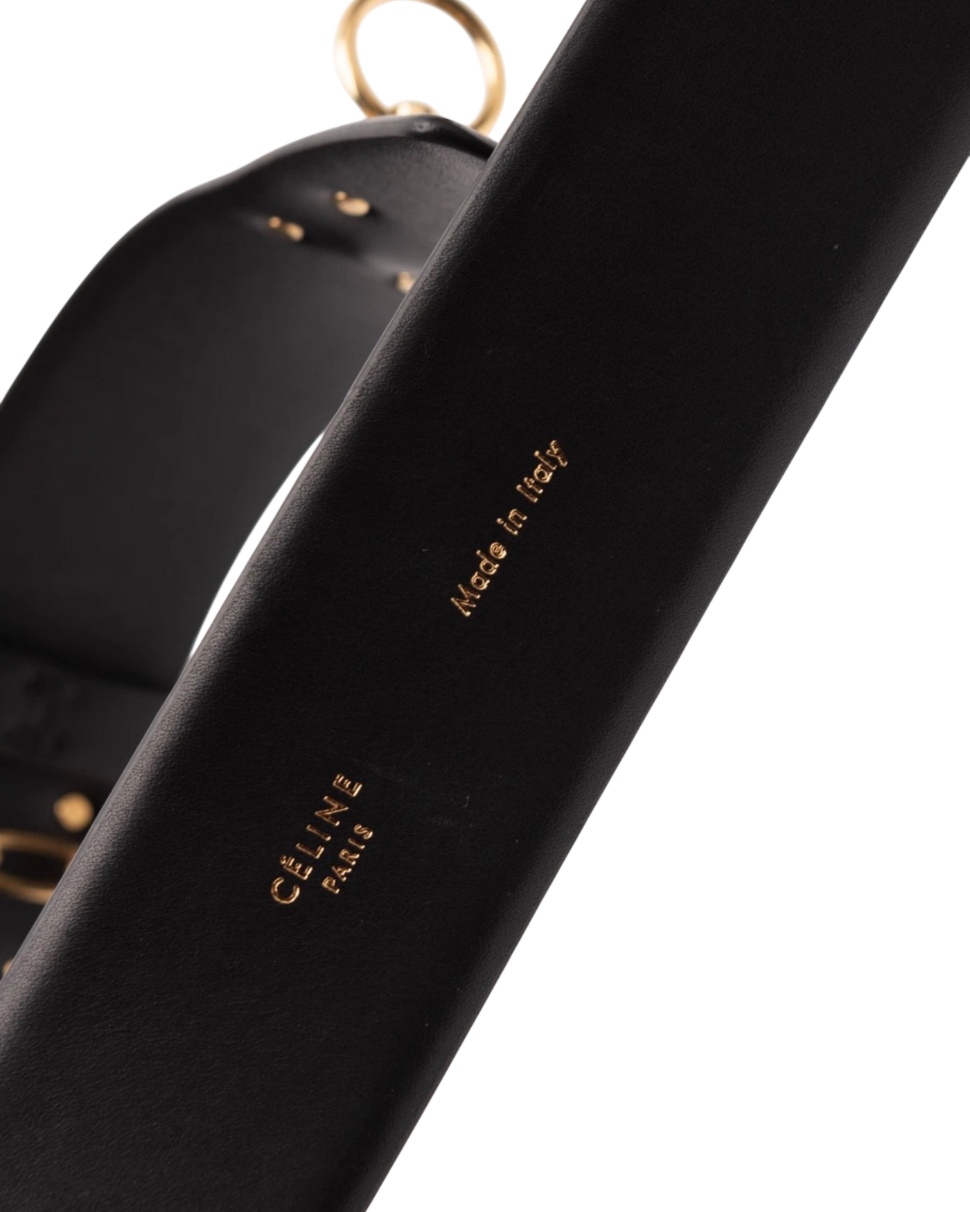 Celine Collier De Chien Belt