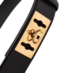 Celine Collier De Chien Belt