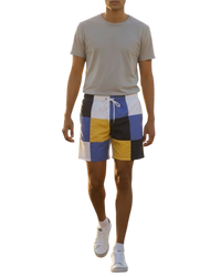 Aime Leon Dore Retro Check Shorts
