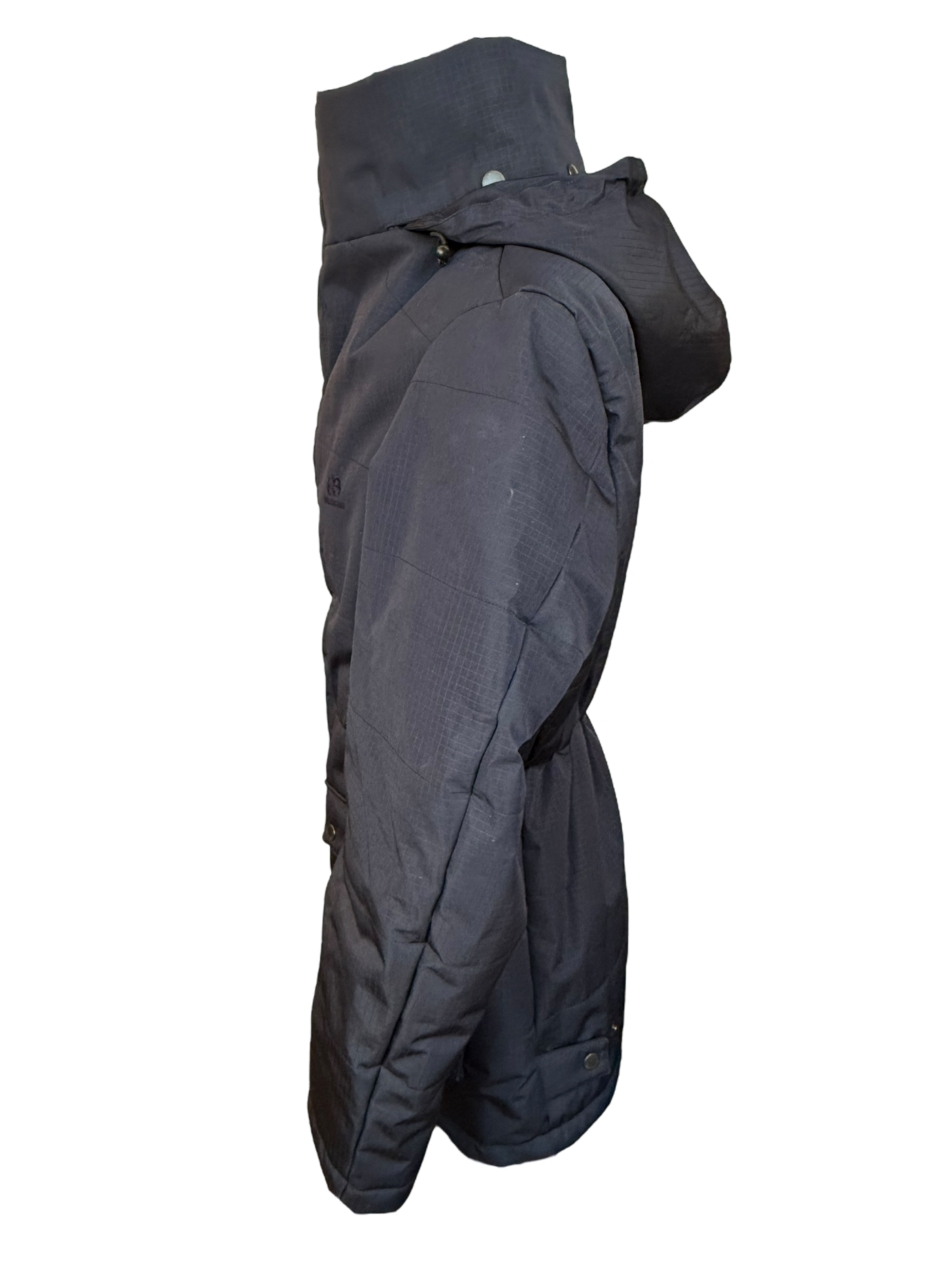 Balenciaga Incognito High Collar Parka