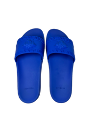 Versace Medusa Head Flat Slides in Blue